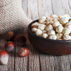 York Filbert Hazelnut -Evergreen Store York Hazelnut 5