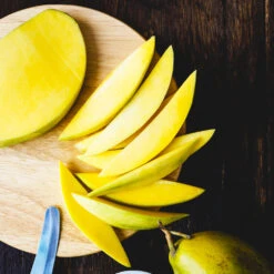 Condo Mango Tree -Evergreen Store condo mango 7